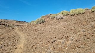 2024-02-GranCan-Playa Del Aguila-Trek-05.jpg